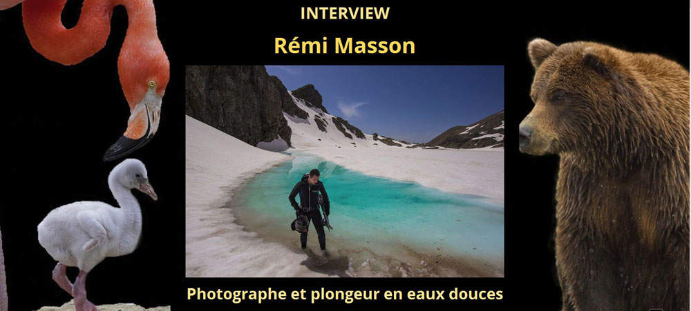 interview Masson