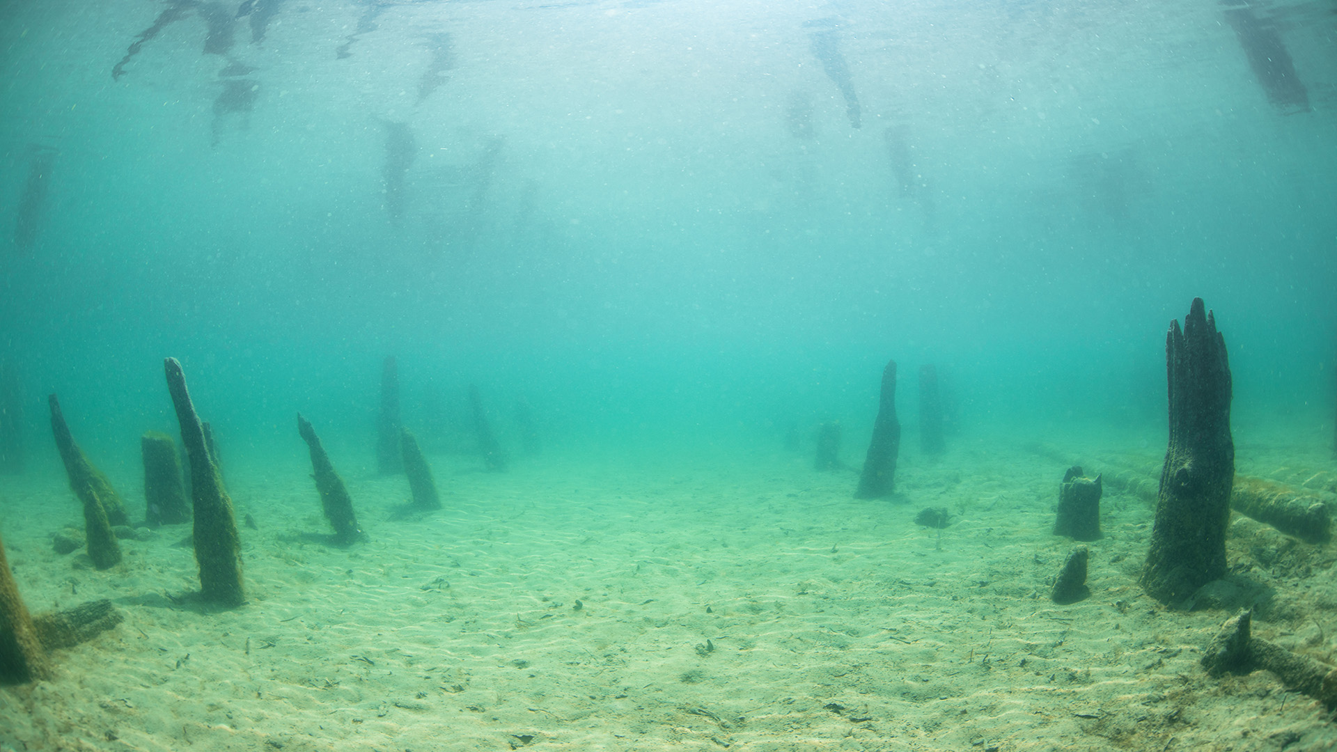 Musée archéologique du lac de Paladru (2022) Musée archéologique du lac de Paladru (2022)
